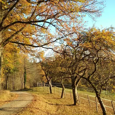 Im Gruenen Апартаменты